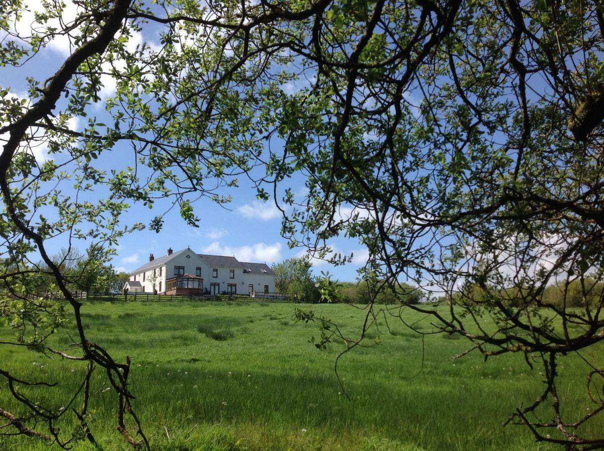 شقة Penddaulwyn Uchaf Farm # Carmarthenshire Nantgaredig المظهر الخارجي الصورة
