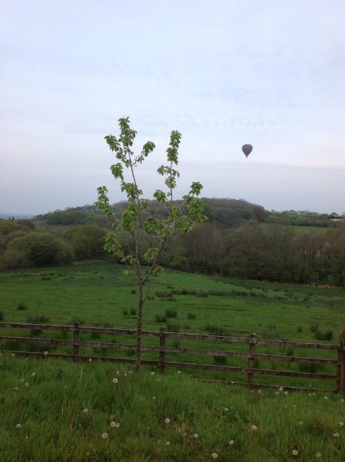 شقة Penddaulwyn Uchaf Farm # Carmarthenshire Nantgaredig المظهر الخارجي الصورة