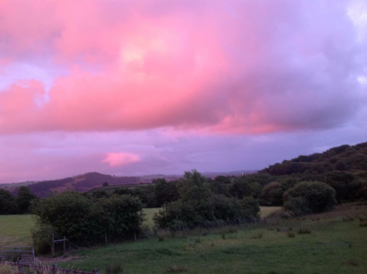 شقة Penddaulwyn Uchaf Farm # Carmarthenshire Nantgaredig المظهر الخارجي الصورة